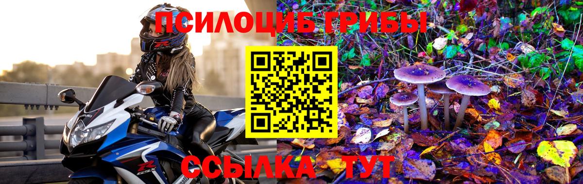 Галлюциногенные грибы прущие грибы Кудрово